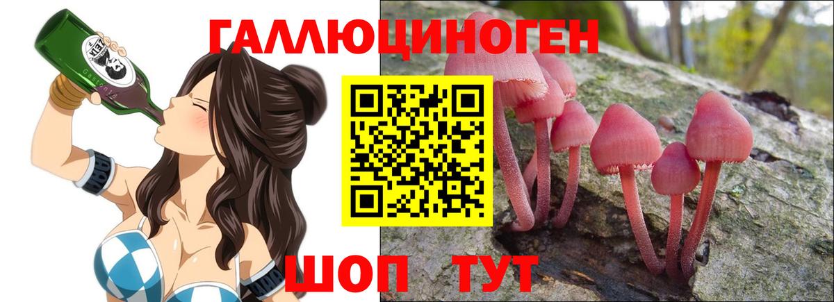 Псилоцибиновые грибы ЛСД  Вход с VPN  Ипатово 